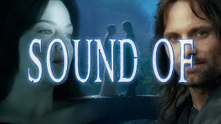 Lord of the Rings  Sound of Aragorn and Arwen [upl. by Yellas884]