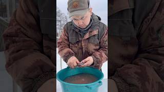 Fish soup from crucian carp🐟😋  Уха из карася🐟😋 north food winter [upl. by Ping]