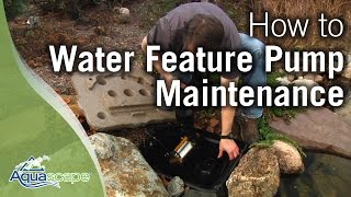 Water Feature Pump Maintenance How To [upl. by Aimahs]