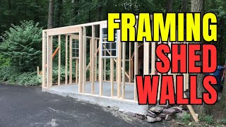 How To Frame A Shed One Wall At A Time [upl. by Sukramaj]