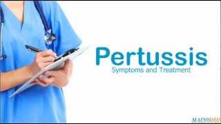 Pertussis Symptoms and Treatment [upl. by Huda]