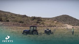 Sustainable Development A Vineyard to rekindle tradition in Milos Greece  Imerys [upl. by Kondon353]