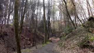 Essen KettwigSchloss LandsbergWald1432014 [upl. by Nnylyahs]