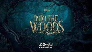 INTO THE WOODS  Stay With Me KARAOKE  Instrumental with lyrics on screen [upl. by Matelda]