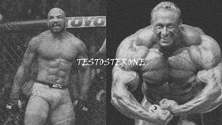 Testosterone edit  Bero 02 [upl. by Ecadnac]