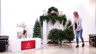 Puleo International Christmas Tree Setup [upl. by Enehs]