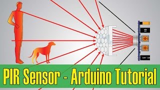 How PIR Sensor Works and How To Use It with Arduino [upl. by Tobiah380]