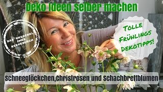 DIYDeko Ideen zum selber machen  kreative Christrosen Schneeglöckchen und Schachbrettblumen [upl. by Milton]