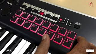 Introduction to Korg Kross 2  Indian [upl. by Yerkovich]