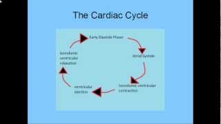 Electric Dipoles and ECG [upl. by Nellek]