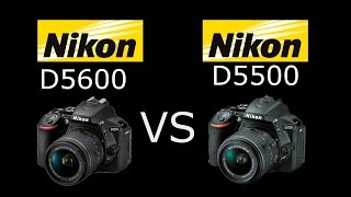 Nikon D5600 vs Nikon D5500 en Español  VS Digital [upl. by Parke793]