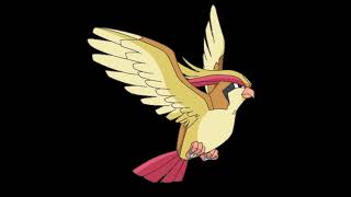 pidgeot cry [upl. by Jeunesse]