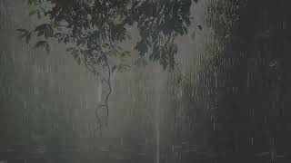 Sonidos de Lluvia y Truenos relajante para dormir 30 minutos [upl. by Oiromed]