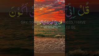 Peaceful Quran Recitation shorts quranrecitation youtubeshorts ytshorts shortsfeed yt [upl. by Vedi]