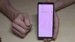 Sony Xperia 10 II How to make a factory data reset hardreset [upl. by Rawdon]