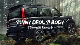 Sunny Deol Si Body Re  Slowed amp Reverb  Raju Punjabi  Choudhar Jaat Ki Latest Haryanvi Song [upl. by Berglund]