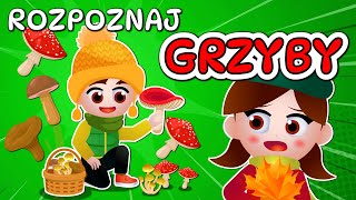 🍄 Kazio i TEST GRZYBIARZA  Grzybobranie dla dzieci  Rozpoznawanie grzybów 🍄 [upl. by Kynan]