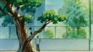 Cardcaptor Sakura Funny Clips Part 214 [upl. by Darda710]