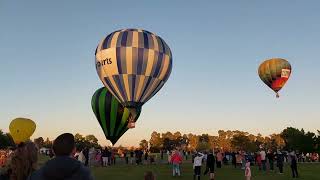 waikato balloons take off into the sky so many so beautiful ♧♤♧ [upl. by Eittod]