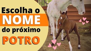 🏇 Voltando com Video de Breeding  Rival Stars [upl. by Thorsten489]