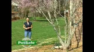 Petsafe Inground fence planning and installation video [upl. by Ajiak940]