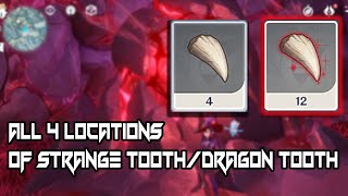 All 4 Locations of Strange toothDragon Tooth  Genshin Impact [upl. by Clair26]