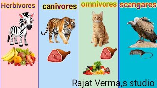 Herbivores omnivorescanivoresscangares animals name l Type of animals l Eating habits of animals [upl. by Sivrad470]