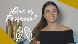 ¿Qué es el vino espumoso Prosecco [upl. by Hannahoj]