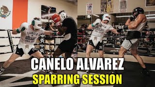 Canelo Alvarez Sparring Session [upl. by Morgenthaler]