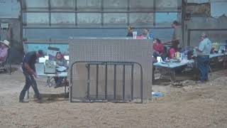 Cache County Fair amp Rodeo Junior Livestock Showcase Live [upl. by Enohpets]