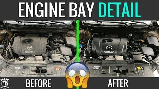 HOW TO CLEAN YOUR ENGINE BAY  EASY TUTORIAL [upl. by Abran]