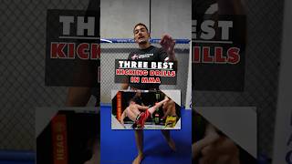 The BEST kicking drills in MMA Which one is your favorite ⬇️ mma mmatips martialarts jiujitsu [upl. by Ruben879]