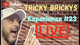 Tricky Bricky Experience 23 [upl. by Amberly]