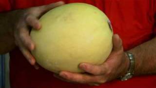 How to Pick out A Ripe Honeydew Melon with David Venable [upl. by Yelsgnik]