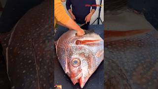 Giant Opah Sunfish Fillet Challenge  Amazing Moonfish Cutting Skills sunfish kingfish short [upl. by Oidale]