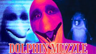 DOU VIENT LA VIDÉO DU DOLPHIN MAN [upl. by Negrom]