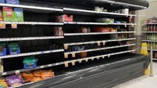 Food Shortage What Our Local Food Lion Looks like Part3 [upl. by Sprung]