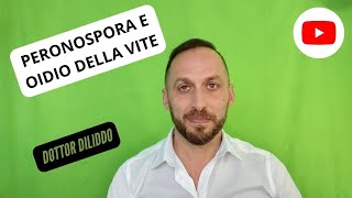 Peronospora e oidio della vite [upl. by Saile]