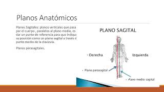 Movimientos Planos y Regiones Anatómicas [upl. by Dever723]