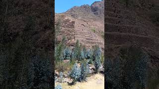 Ancient Incan Terraces peru sustainableagriculture pisac andesmountains [upl. by Querida]