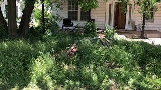 Mowing TALL GRASS and uncovering a SIDEWALK [upl. by Wera]