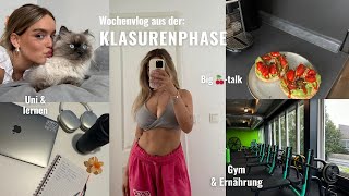 PRODUKTIVER VLOG Meine letzte Klausur im Studium Lernplan erstellen Gym  Abnahme amp big 🍒Talk [upl. by Sibell]