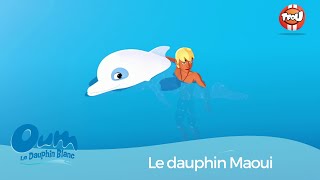 Oum le dauphin  Le dauphin Maui  Extrait [upl. by Kery]