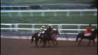 Triple Crown Winners Secretariat Seattle Slew and Affirmed [upl. by Ailimaj]