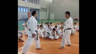 2017 RTKF gasshuku Sensei Kawasoe Masao Maegeri amp distance in kumite [upl. by Stoecker]