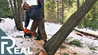 Lumberjack  Risk Takers  Episode 8  FD Real Show [upl. by Noyes121]