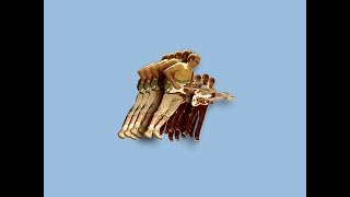 VULFPECK  Fugue State Full Album [upl. by Kcirrej]