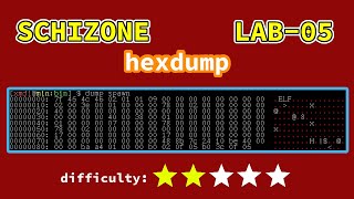 hexdump in x86 assembly  SCHIZONE LAB05 [upl. by Ynot762]