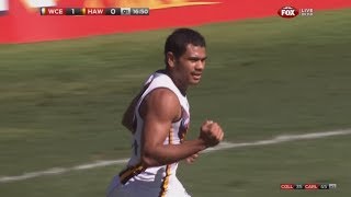 AFL 2013 Round 2  Hawthorn highlights vs West Coast [upl. by Alludba]