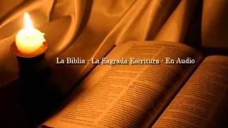 La Biblia Católica en audio 15 Evangelio San Marcos 11 12 y 13 [upl. by Nemraciram]